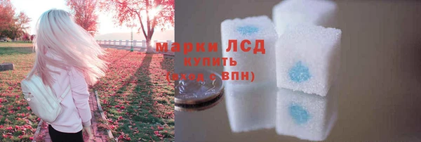 дживик Вяземский