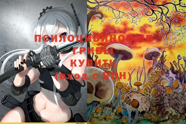 ECSTASY Вязники