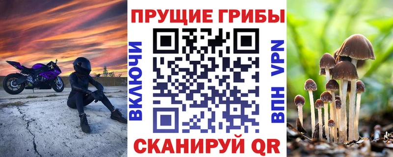 KRAKEN рабочий сайт Фокино дарк нет состав Галлюциногенные грибы GOLDEN TEACHER